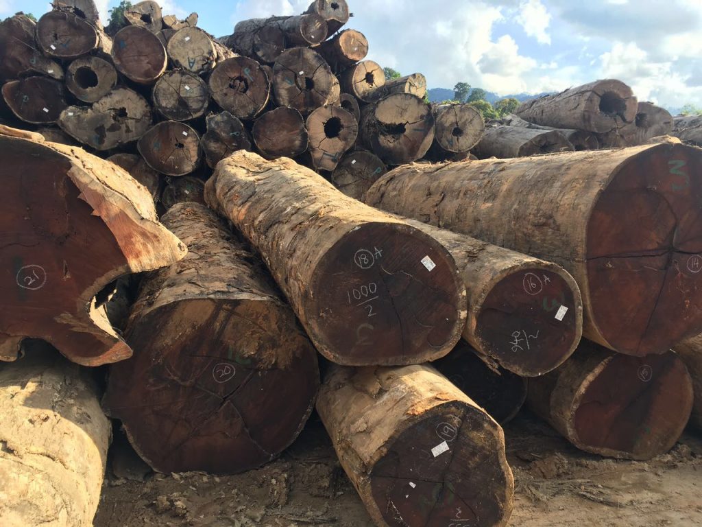 Timber